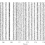 tutorial2_exc_spikes_zoom.png