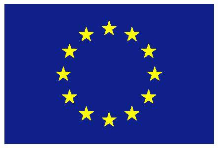 flag_yellow_low.jpg flag_yellow_low.jpg